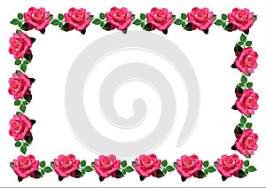 Background with a frame of pink fresh roses