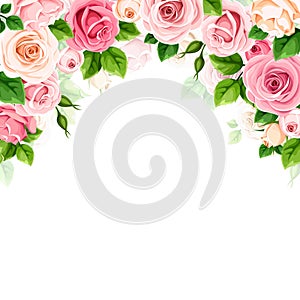 Background frame with pink and white roses. Vector card design