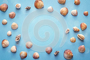 Background with frame of seashells on blue. Top view with copy s