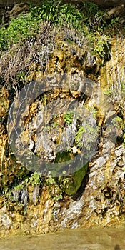 Background. Freakish cliffs covered with moss and plants. A rare natural phenomenon - weeping rocks. photo