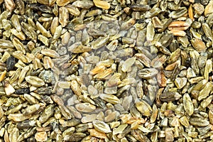 Background - freekeh wheat grains