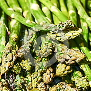 Background of fresh asparagus. Organic pods close up. Selective focus