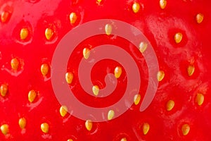 Background Of Fresh Berry Of Red Strawberry With Seeds Close Up