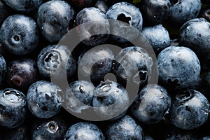 Background of fresh blue berries close-up