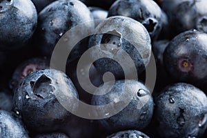 Background of fresh blue berries close-up