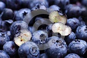 Background of fresh blueberries with cut halves macro close up, concept of organic wholesome food