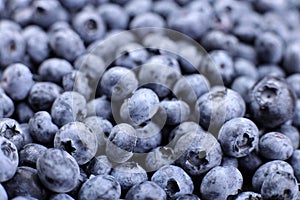 Background of fresh blueberries, selective focus, concept of organic wholesome vegan food