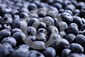 Background of fresh blueberries, selective focus, concept of organic wholesome vegan food