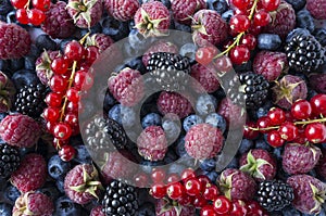 Background of fresh fruits and berries. Ripe blackberries, blueberries, red currants and raspberries. Mix berries and fruits.