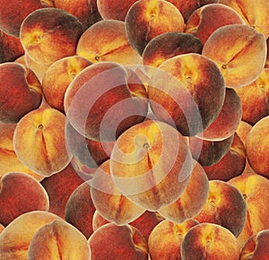 Background with fresh fuzzy peaches
