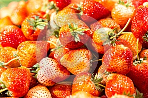 Background of fresh organic red strawberry