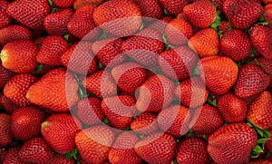 Background Of Fresh Organic Strawberries