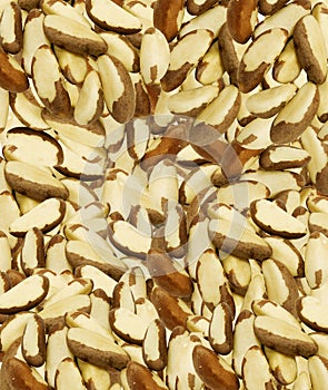 Background with fresh peeled brazil nuts