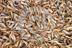 Background of fresh raw Black Sea shrimps. Shrimps, prawn, crustaceans on the market