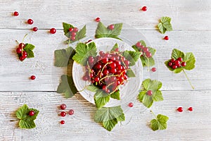 Background: fresh red currant on white vintage plate, berries and green leaves on light wooden table, top view