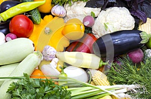 Background of fresh vegetables