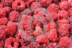 Background of frozen raspberries, fresh berries covered with frost, top view. macro photo close-up