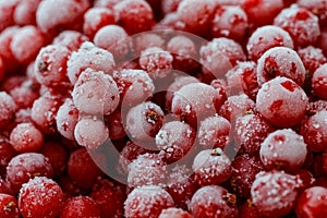 Background of frozen redcurrants.