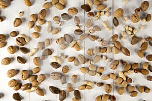 Background of FRUIT IN SHELL