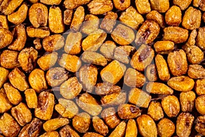 Background full of roasted raw salty corn or maize kernel