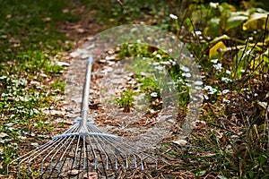 Background, garden cleaning, foliage rake, close-up