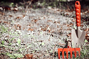 Background, garden cleaning, small shovel, rake,