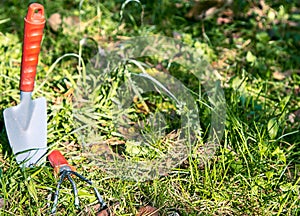 Background, garden cleaning, small shovel, rake, on left