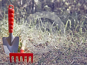 Background, garden cleaning, small shovel, rake, on left