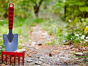 Background, garden cleaning, small shovel, rake, on left