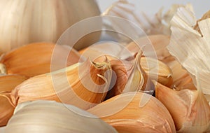 Background garlic