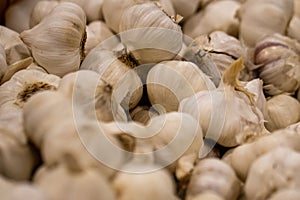 Background of Garlic Bulbs