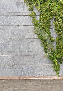 Background of glass blocks and granite stones wall