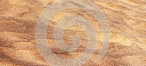 A background of golden dry sand
