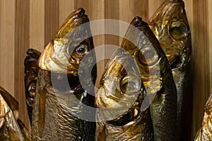 Background of golden smoke-dried fish close up