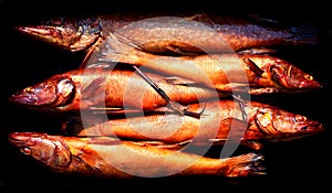 Background of golden smoke dried fish. Fishing