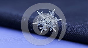 Background is a gradient of dark to light blue enhancing the visual focus on