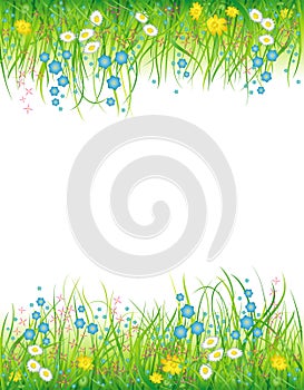 Background with the grass and flowers
