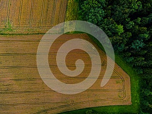Background of grass and pasture shot from above with a drone. Background with copy space