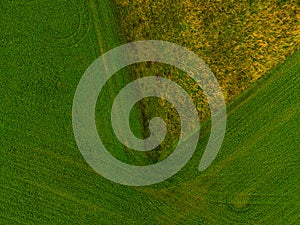 Background of grass and pasture shot from above with a drone. Background with copy space