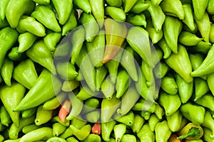 Background of green anaheim peppers