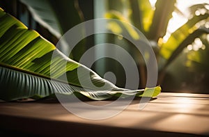 Background with green banana leaves, sun rays breaking through the leaf.