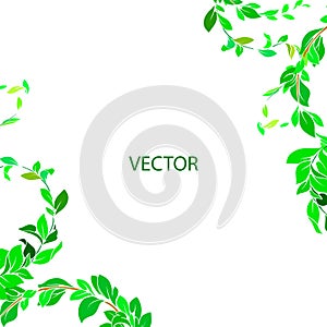 Background green branches with leaves. Vector decorative branch,