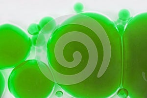 Background with green bubbles