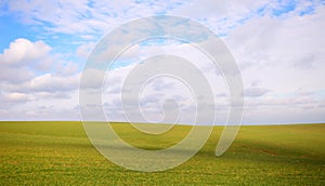 Background of green field with blue sky and clouds