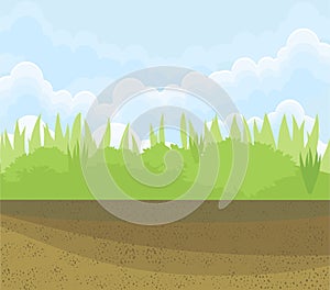 Background with green grass