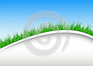 Background with green grass and blue sky
