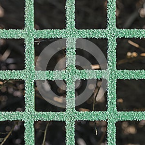 Background Green Lattice