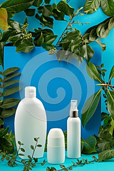 Background with green leaves and plants and bottle of cosmetic. Natural scin care concept