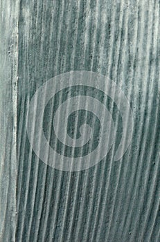 Background with green marked weathered pattern