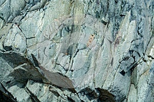 Background with green mineral rock close up, gemstone texture, olivine, amazonite, amphibolite